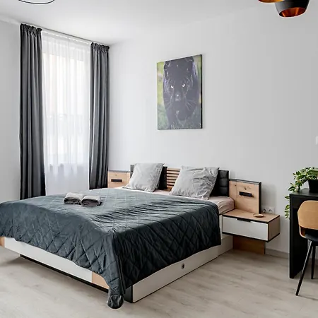 Spirit With Free Parking Appartement *