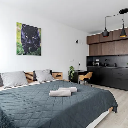 Spirit With Free Parking 公寓 *