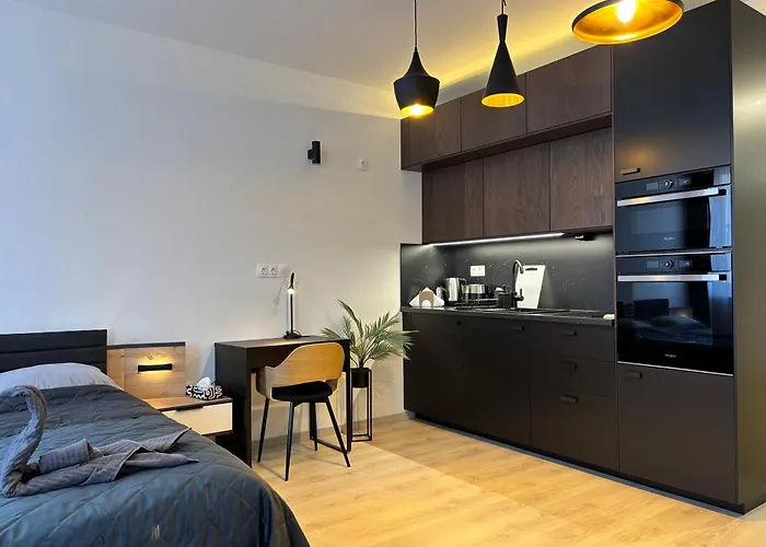 Spirit With Free Parking 公寓 布达佩斯