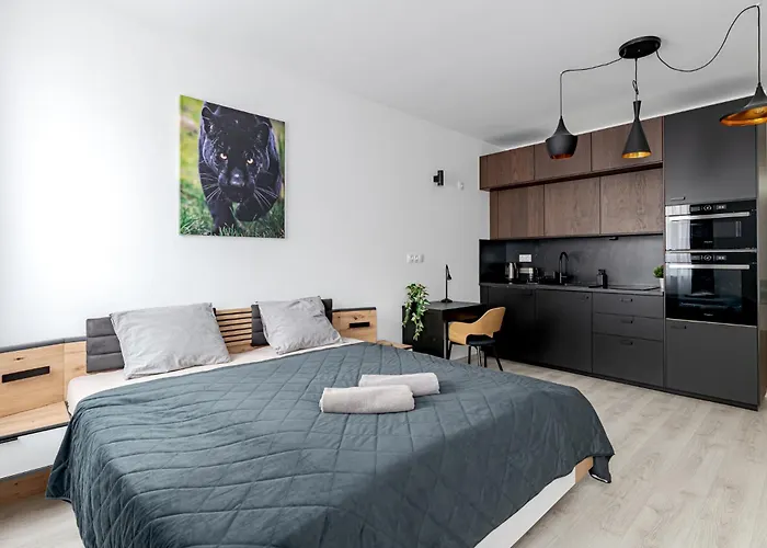 Spirit With Free Parking 公寓 *