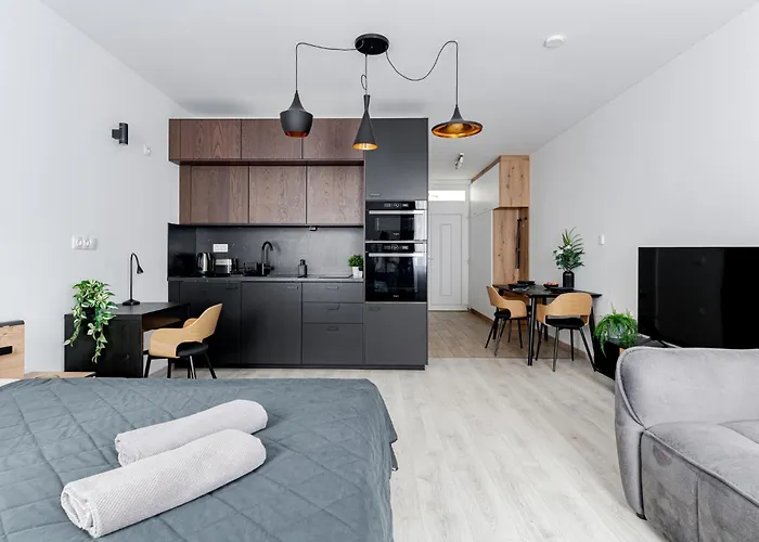 Spirit With Free Parking 公寓