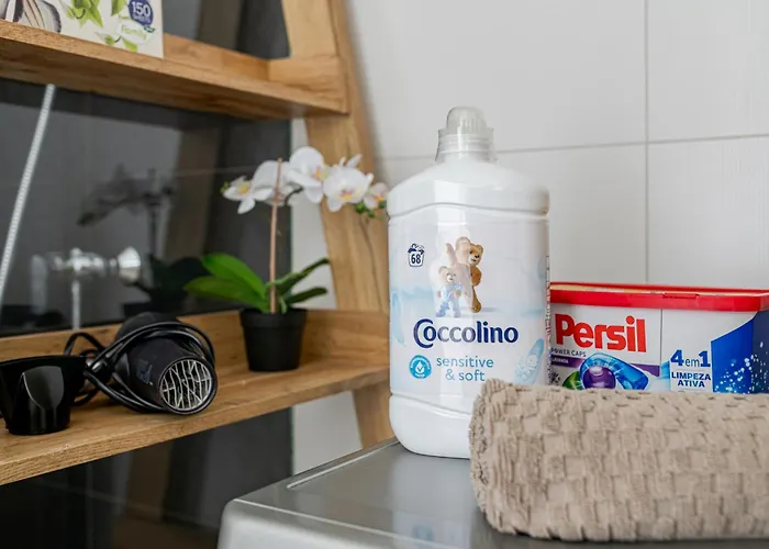 Spirit With Free Parking *