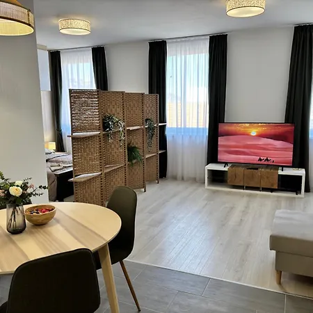 Spirit With Free Parking Apartment